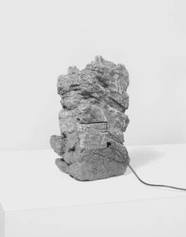 Stefan Stark & Pujan Shakupa -