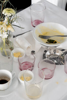 Stefan Stark & Pujan Shakupa -