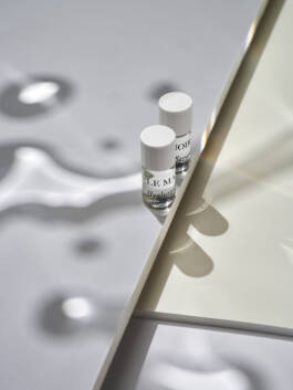 Stefan Stark & Pujan Shakupa -