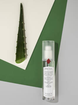 Stefan Stark & Pujan Shakupa -