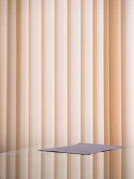 Stefan Stark & Pujan Shakupa -