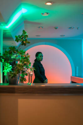 Stefan Stark & Pujan Shakupa -