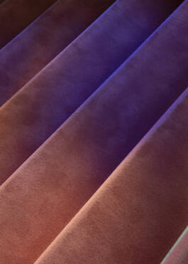 Stefan Stark & Pujan Shakupa -