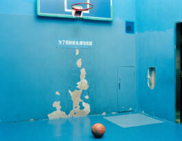 Stefan Stark & Pujan Shakupa -