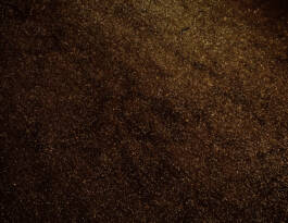 Stefan Stark & Pujan Shakupa -