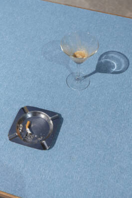 Stefan Stark & Pujan Shakupa -