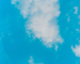 Stefan Stark & Pujan Shakupa -