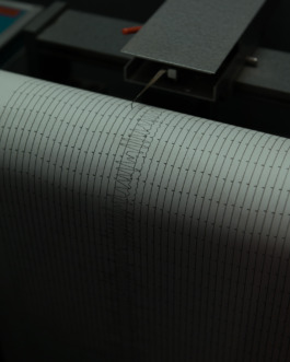 Stefan Stark & Pujan Shakupa -