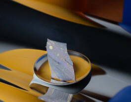 Stefan Stark & Pujan Shakupa -