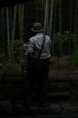 Stefan Stark & Pujan Shakupa -