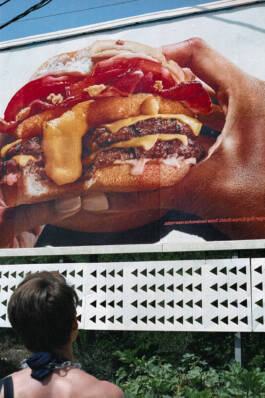 Stefan Stark & Pujan Shakupa -