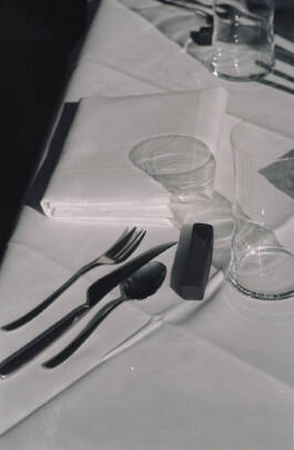 Stefan Stark & Pujan Shakupa -