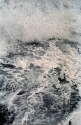 Stefan Stark & Pujan Shakupa -