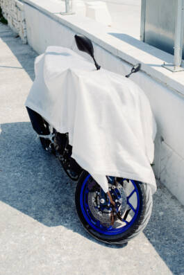 Stefan Stark & Pujan Shakupa -