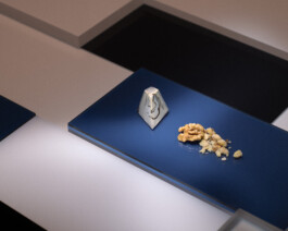 Stefan Stark & Pujan Shakupa -