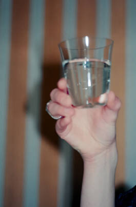 Stefan Stark & Pujan Shakupa -