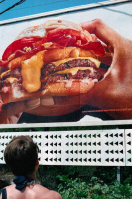 Stefan Stark & Pujan Shakupa -