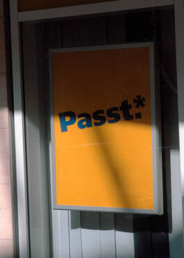 Stefan Stark & Pujan Shakupa -