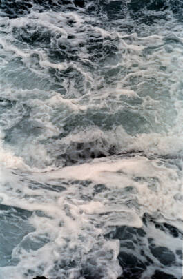 Stefan Stark & Pujan Shakupa -