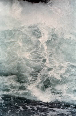 Stefan Stark & Pujan Shakupa -