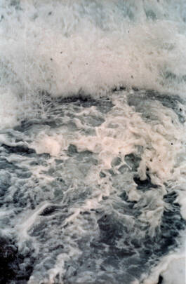 Stefan Stark & Pujan Shakupa -