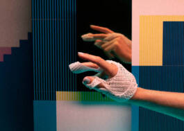 Stefan Stark & Pujan Shakupa -