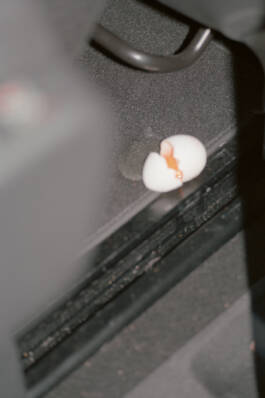 Stefan Stark & Pujan Shakupa -