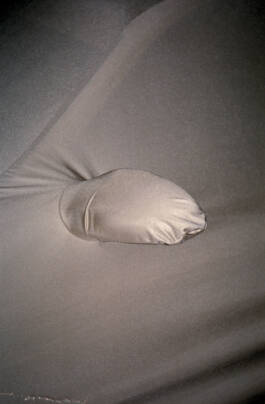 Stefan Stark & Pujan Shakupa -