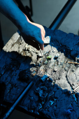 Stefan Stark & Pujan Shakupa -