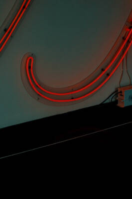 Stefan Stark & Pujan Shakupa -