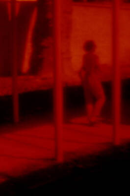 Stefan Stark & Pujan Shakupa -