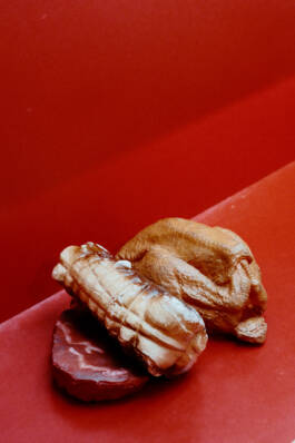 Stefan Stark & Pujan Shakupa -