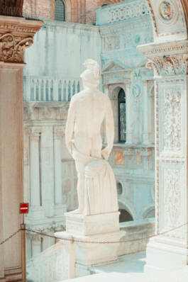 Stefan Stark & Pujan Shakupa -